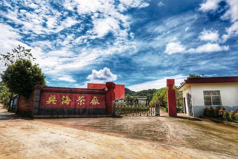 时光印记2002-2025：廿三载坚守与突破  兴海茶【流年印象】重磅上市！