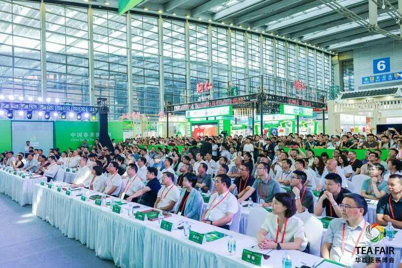 绿茶超级盛会启动！5.0版本，玩点不一样的！