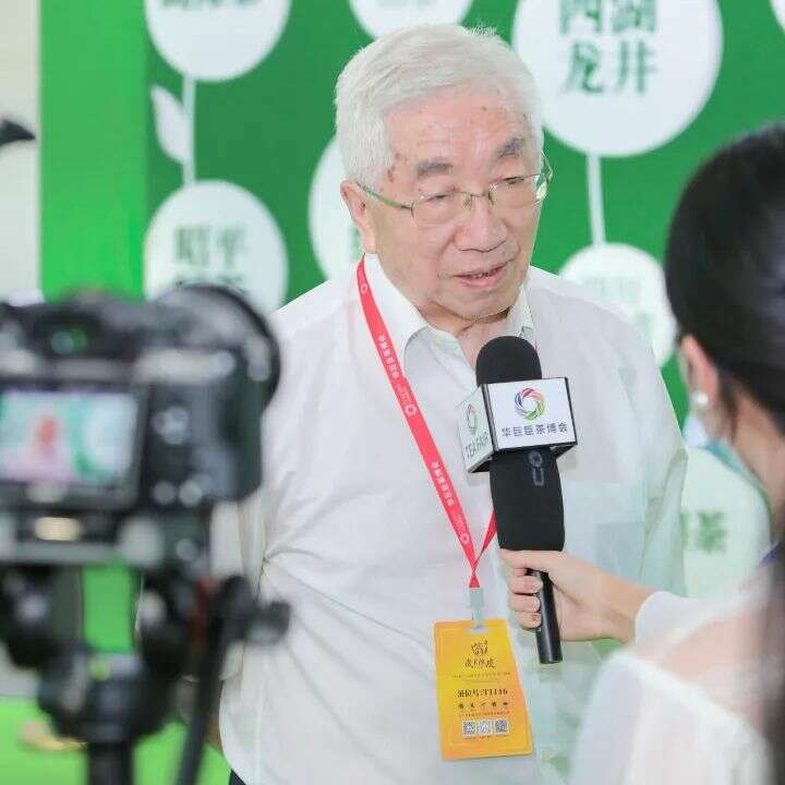 绿茶超级盛会启动！5.0版本，玩点不一样的！