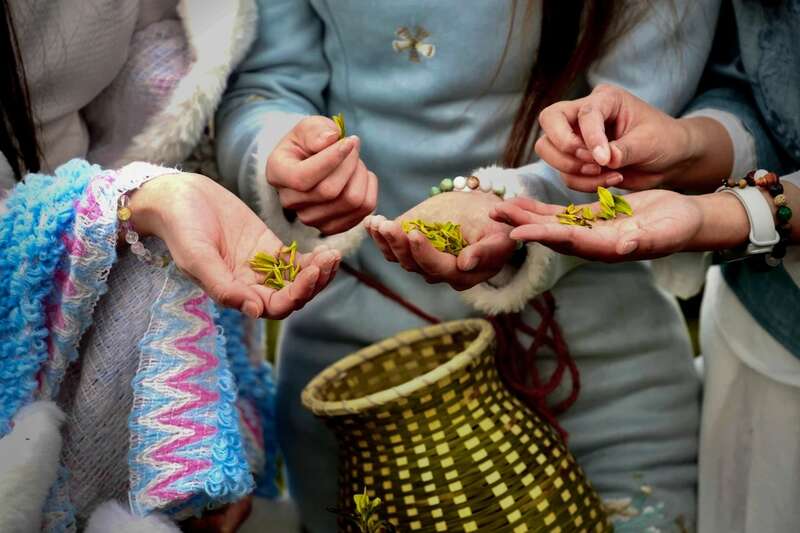 市女摄协：镜头下的茶香之旅