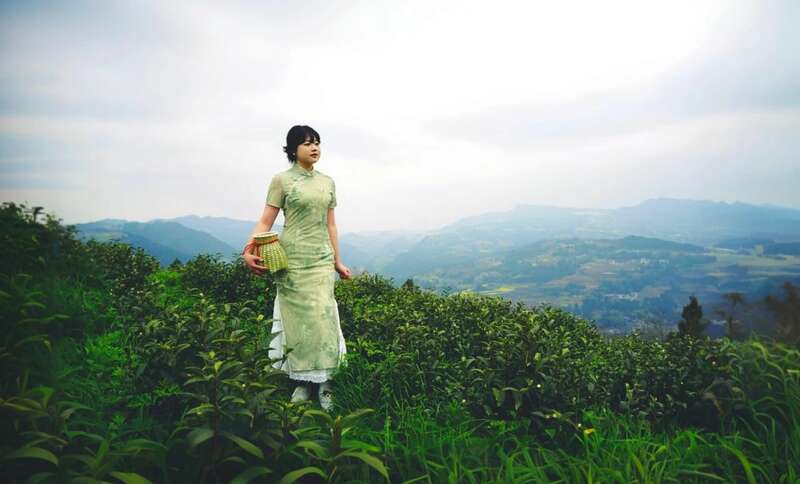 市女摄协：镜头下的茶香之旅
