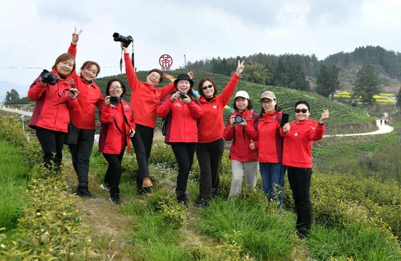 市女摄协：镜头下的茶香之旅