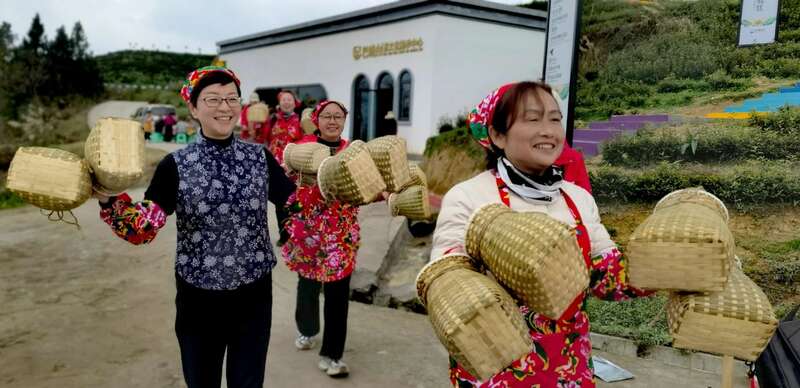 市女摄协：镜头下的茶香之旅