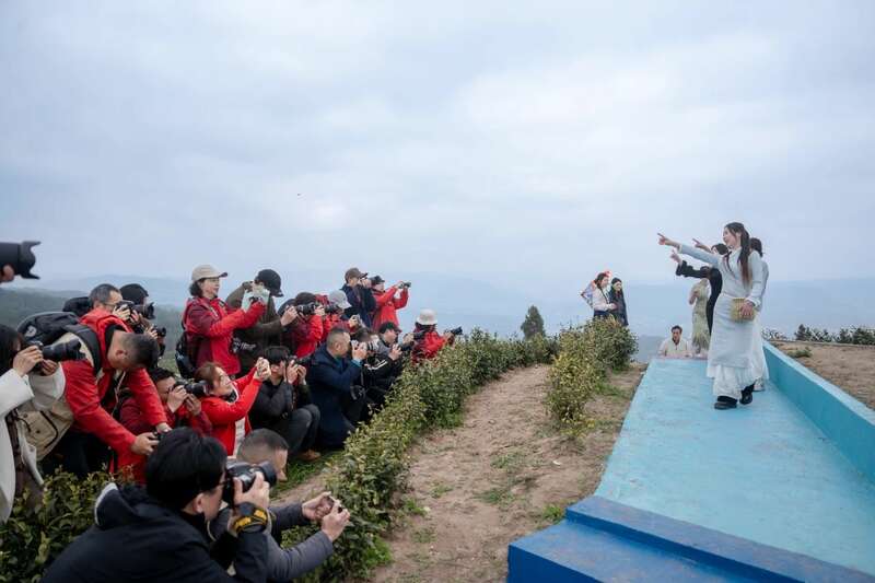 市女摄协：镜头下的茶香之旅