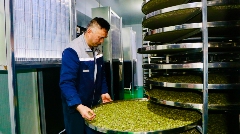 名山区首条新茶饮原料生产线投产 赋能茶产业转型升级