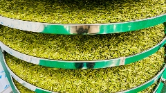 名山区首条新茶饮原料生产线投产 赋能茶产业转型升级