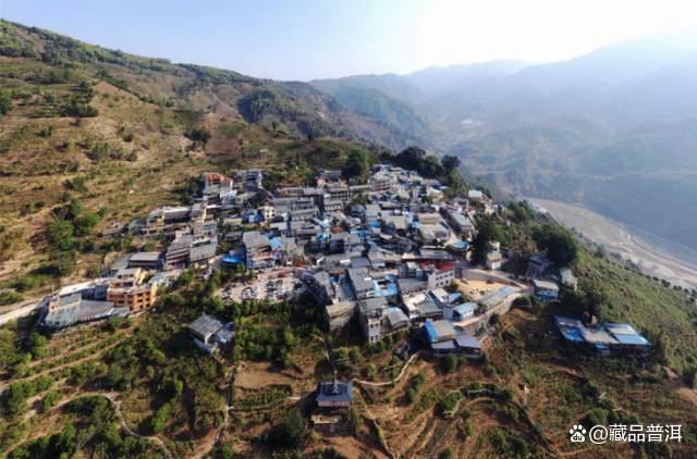 勐库2006年首批乔木王砖深度解析，临沧茶界经典之作