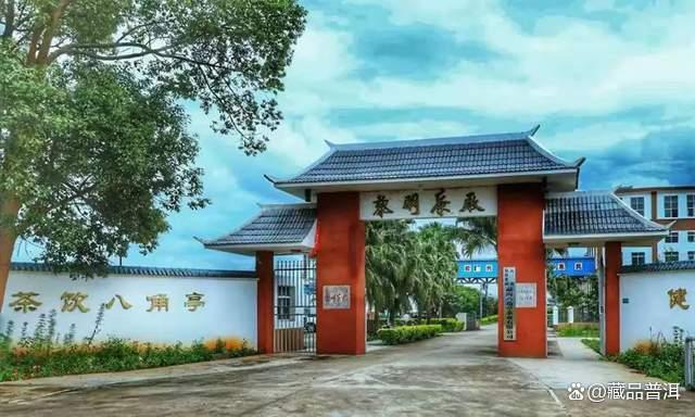 2003年黎明茶厂早春乔木圆茶深度解析，国营茶企经典之作