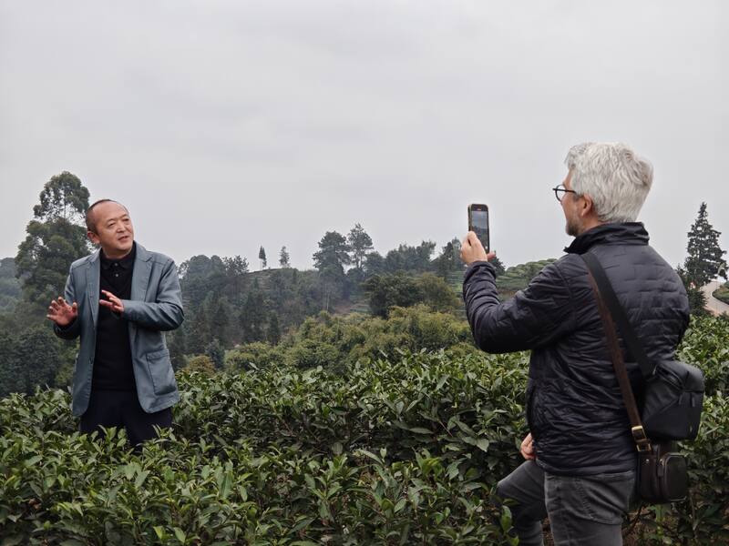 合作十五载再访仙茶故里 加拿大客商盛赞蒙顶山茶魅力