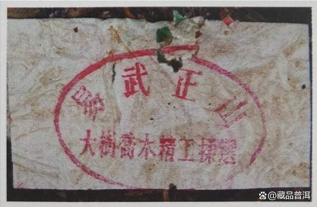 99绿大树红票与蓝黑票的区别解析，大叶系绿大树正名