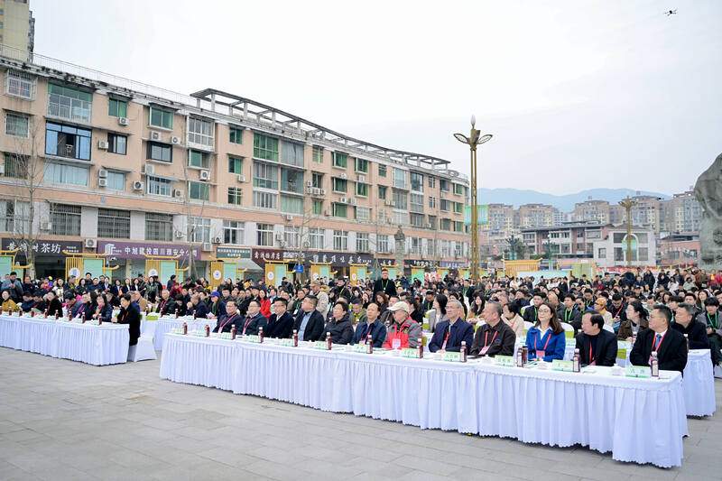 全球茶商共议茶业大计！2025年蒙顶山茶商大会圆满召开！