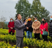 古韵贡茶氤氲新 ——探寻广元千年茶脉之二