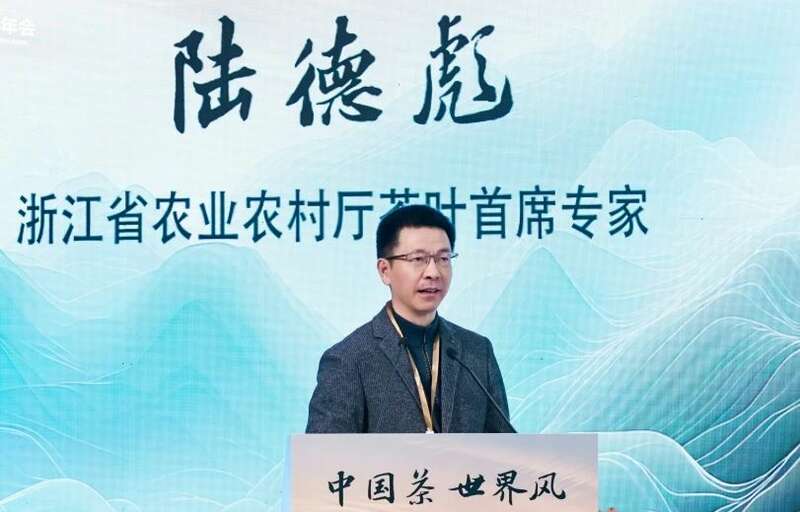 西湖龙井今日开采！“龙井味”如何保“真”？