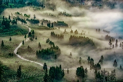 一叶载古今 “三茶”融万象——雅安茶产业发展综述