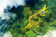 一叶载古今 “三茶”融万象——雅安茶产业发展综述