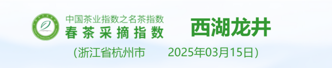 2025春茶季：洞庭山碧螺春开采