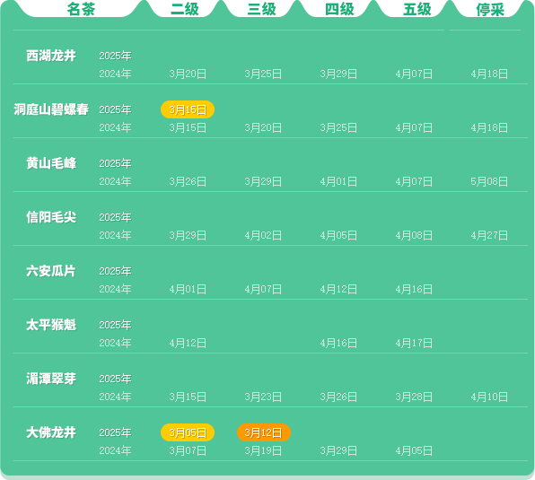 2025春茶季：洞庭山碧螺春开采