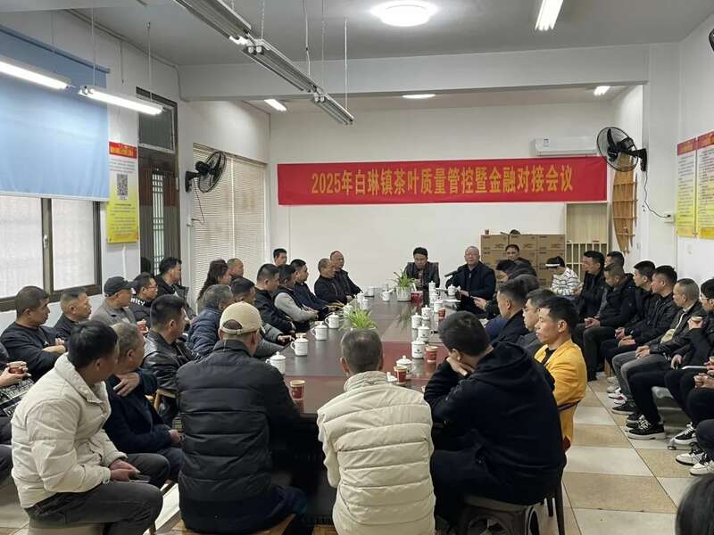 吹响春茶生产号角 铸就春茶品质“金招牌”