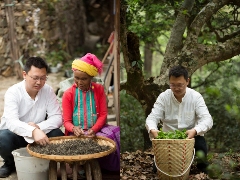 李先国：矢志将好茶带出深山