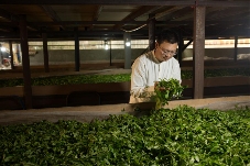 李先国：矢志将好茶带出深山