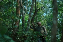 李先国：矢志将好茶带出深山