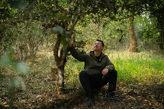 李先国：矢志将好茶带出深山