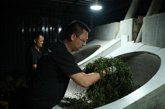 李先国：矢志将好茶带出深山