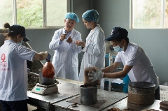 李先国：矢志将好茶带出深山