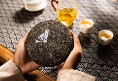 李先国：矢志将好茶带出深山