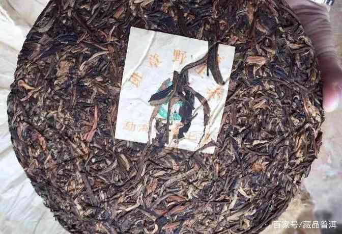 班章大白菜茶品全解析：从橡筋茶到特2号熟饼的经典回顾