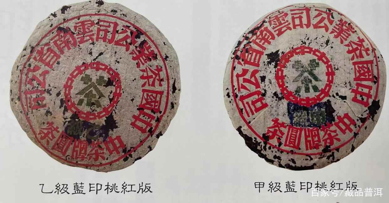 普洱茶印级茶详解：红印绿印蓝印黄印橙印的来历与特点