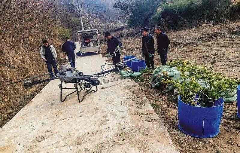 商南县：无人机“上岗”赋能春耕 栽下油茶绿满坡