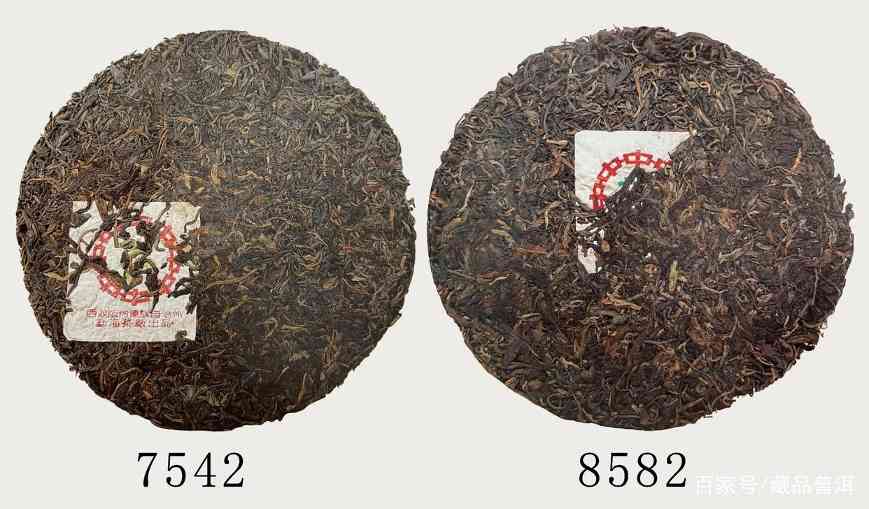 7542与8582普洱茶区别解析，文武将军各有什么特点