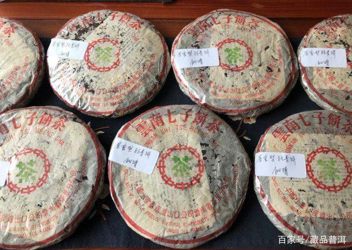 88青普洱茶传奇：从默默无闻到市场标杆的崛起之路