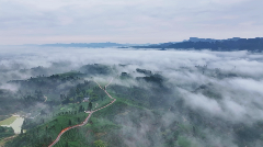 每一口蒙顶山茶，都藏着高山云雾秘境的春日惊喜！