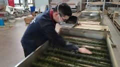 名山区北部(黑竹)茶叶集中加工园区茶叶生产忙