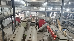 名山区北部(黑竹)茶叶集中加工园区茶叶生产忙