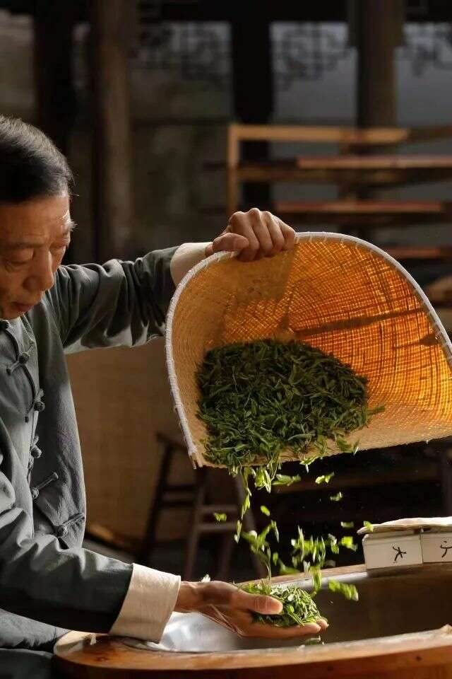 杭州官宣：西湖龙井茶3月20日开采