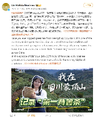 CGTN 聚焦蒙顶山春茶，“第一背篓茶”获国际关注