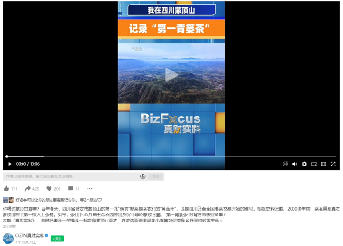 CGTN 聚焦蒙顶山春茶，“第一背篓茶”获国际关注