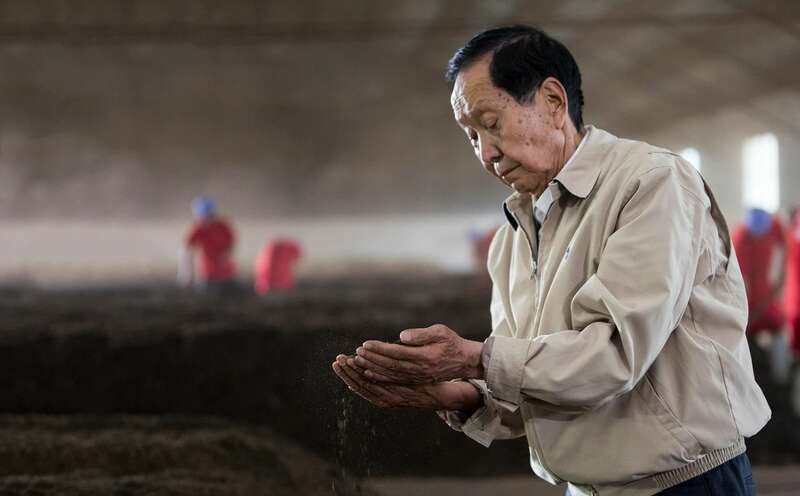 “75”与“99”谁才是普洱茶恒定的标准？