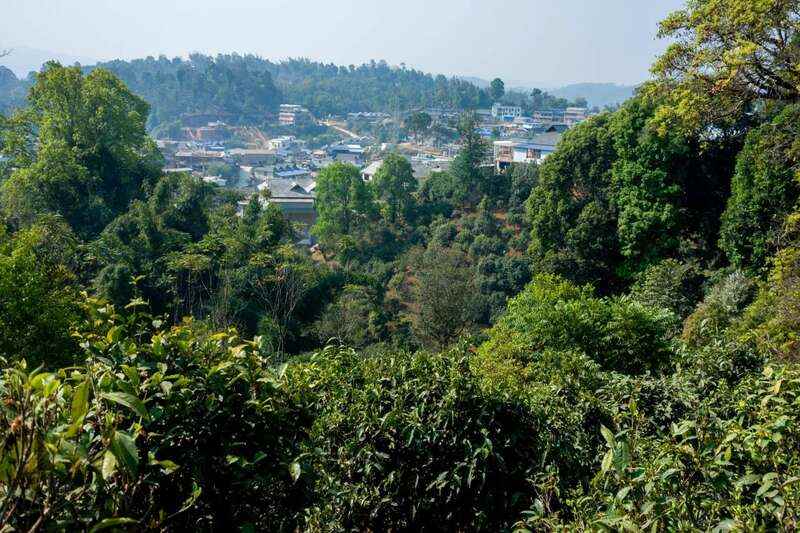 下关2024·风花雪月沱茶到大理，记得带上风花雪月再走！