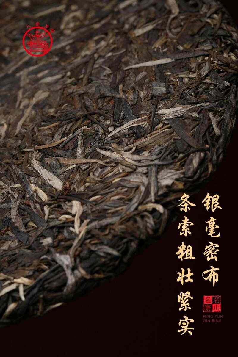 风云际会，一壶千年  品八角亭