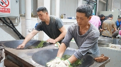 名山区春茶生产进入旺季 红星镇茶企抢