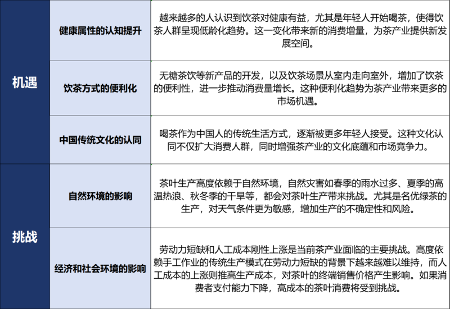 重要市场信号！2025年茶青量价趋势前瞻