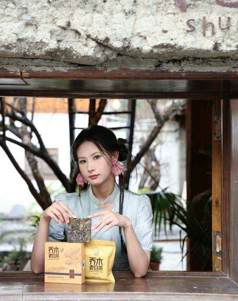 下关乔木老白茶 风起春意，适饮白茶