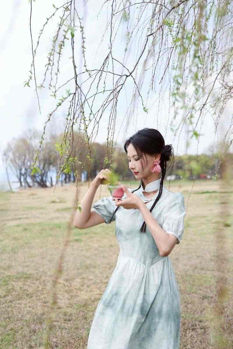 下关乔木老白茶 风起春意，适饮白茶