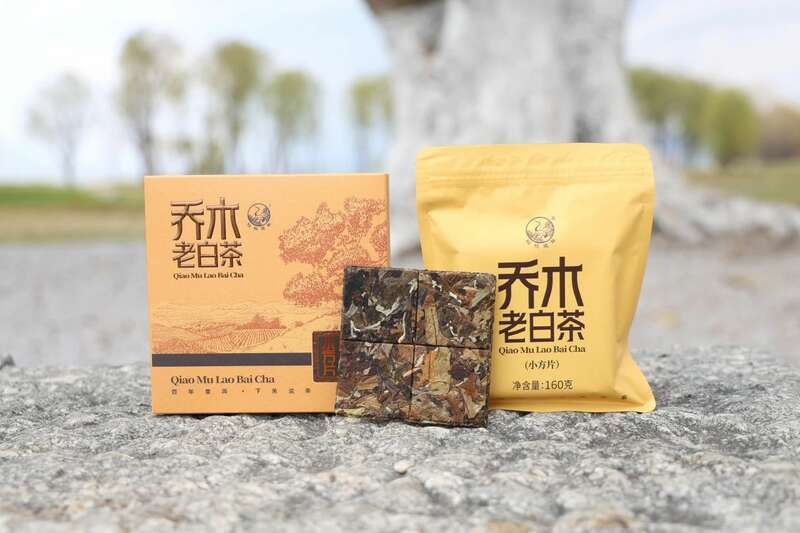 下关乔木老白茶 风起春意，适饮白茶