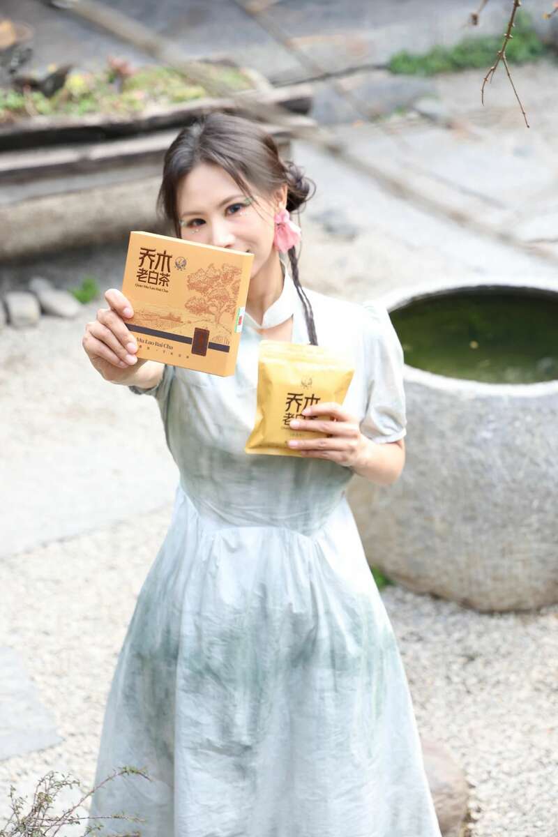 下关乔木老白茶 风起春意，适饮白茶