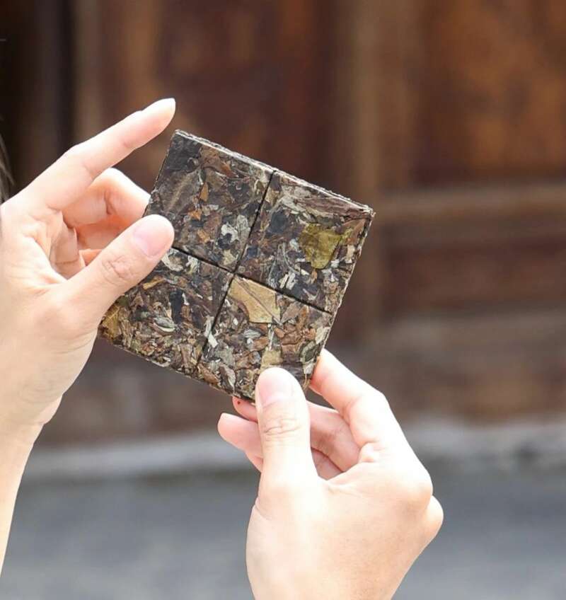 下关乔木老白茶 风起春意，适饮白茶